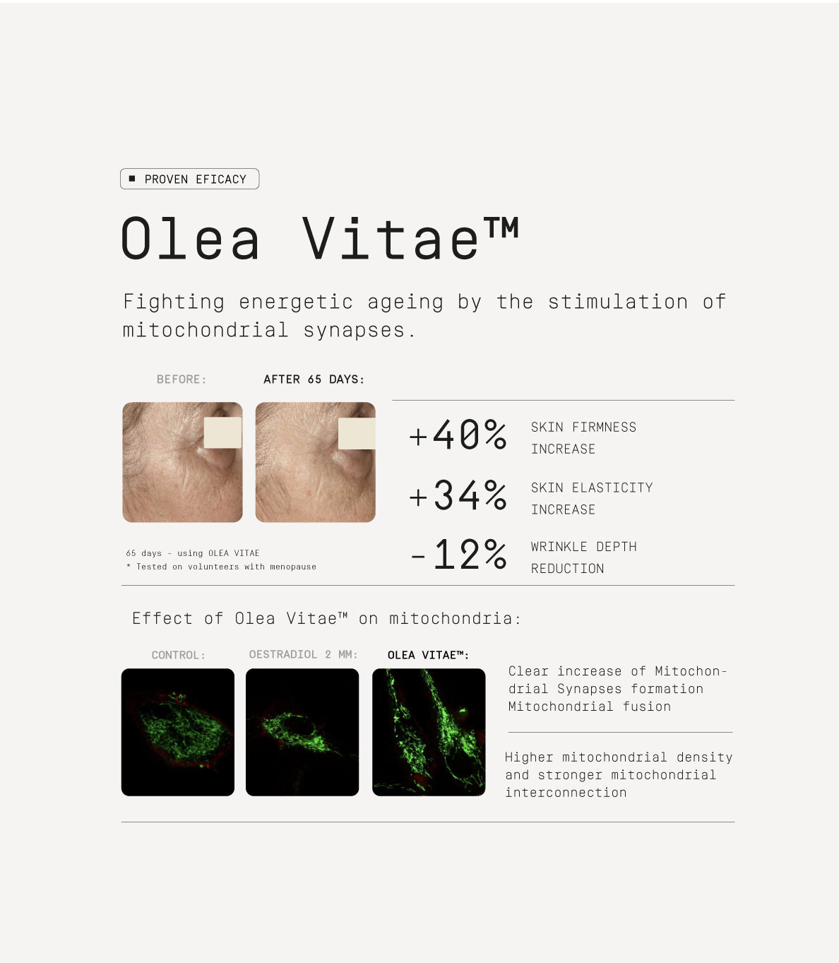 Winter Facial Essentials